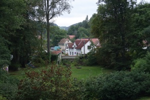 024 IMG_1377